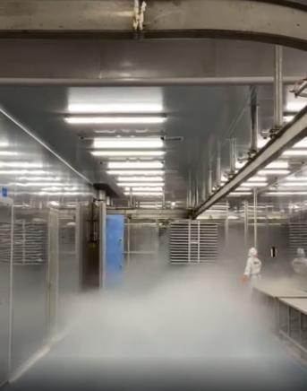 探秘国产宠物冻干工厂 亲身探访，揭开品质与代工的秘密